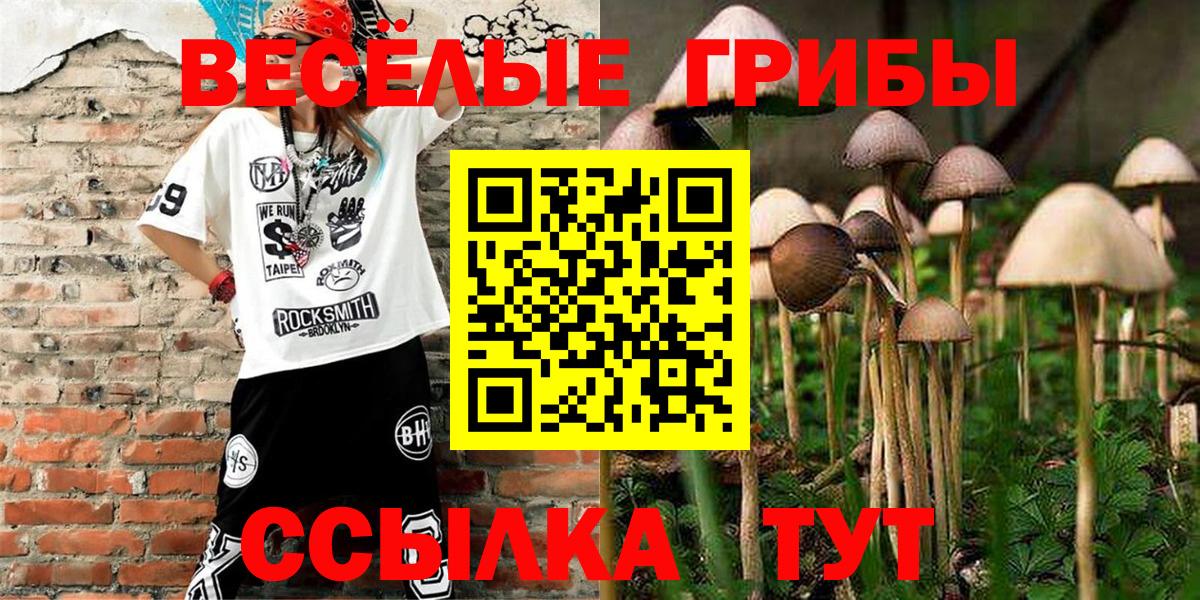 Галлюциногенные грибы Psilocybe Вологда