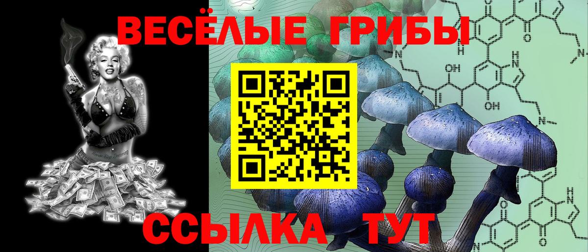 Галлюциногенные грибы ЛСД  Вход с VPN  Галлюциногенные грибы прущие грибы  цены   Вологда 
