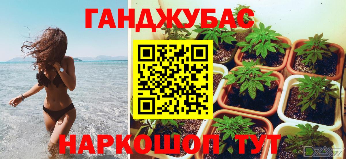 Бошки Шишки марихуана Вологда